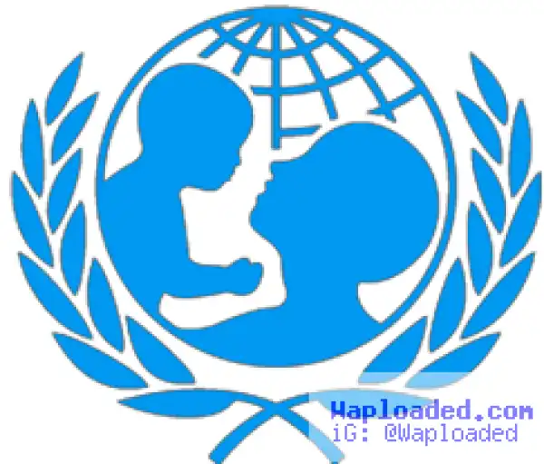 UNICEF to continue humanitarian work in North East after Boko Haram attack – UN